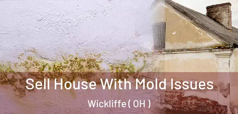  Sell House With Mold Issues Wickliffe ( OH )