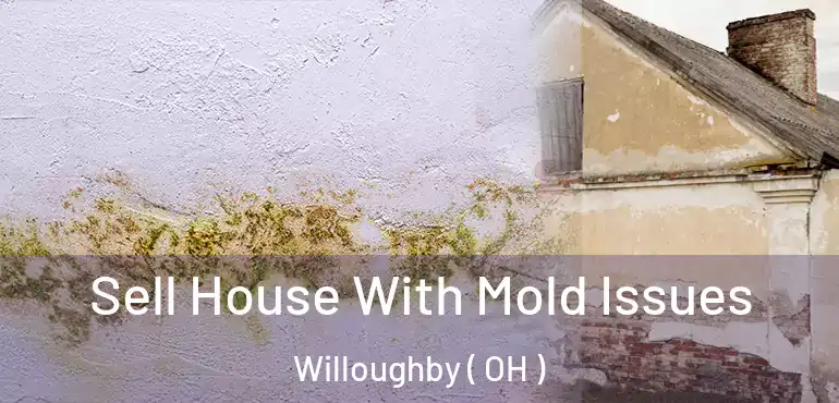  Sell House With Mold Issues Willoughby ( OH )