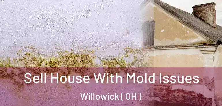  Sell House With Mold Issues Willowick ( OH )