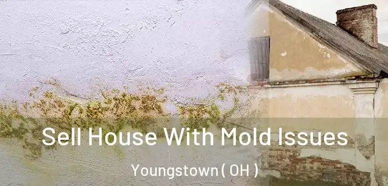  Sell House With Mold Issues Youngstown ( OH )