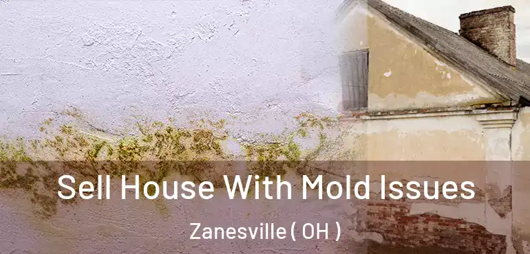  Sell House With Mold Issues Zanesville ( OH )
