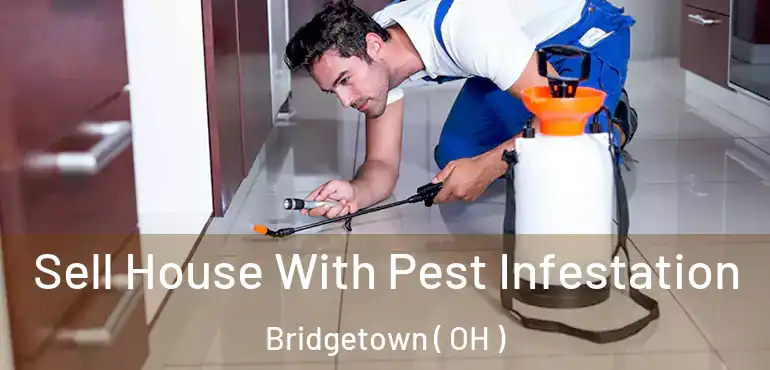  Sell House With Pest Infestation Bridgetown ( OH )