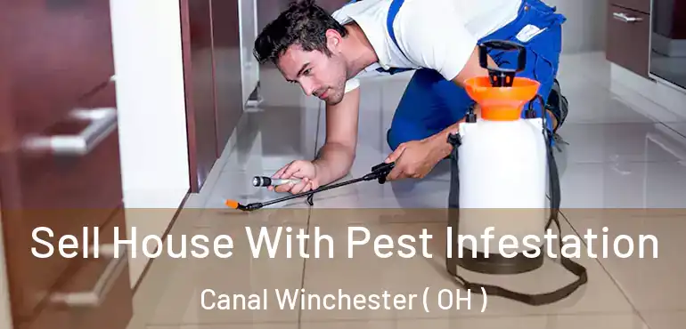  Sell House With Pest Infestation Canal Winchester ( OH )
