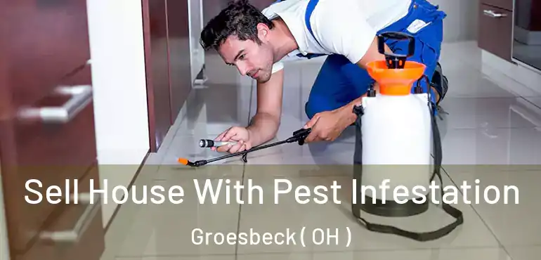  Sell House With Pest Infestation Groesbeck ( OH )