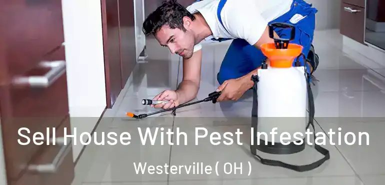  Sell House With Pest Infestation Westerville ( OH )