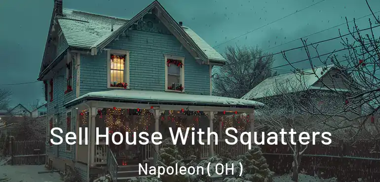  Sell House With Squatters Napoleon ( OH )