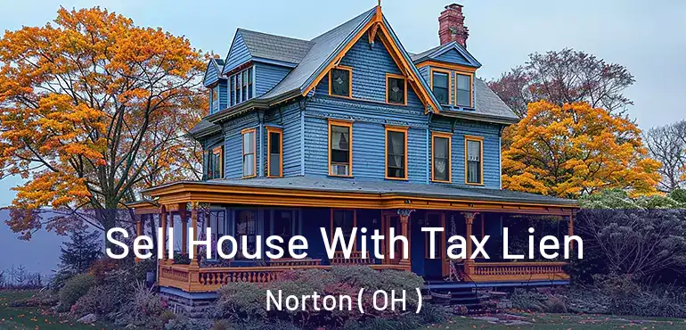 Sell House With Tax Lien Norton ( OH )