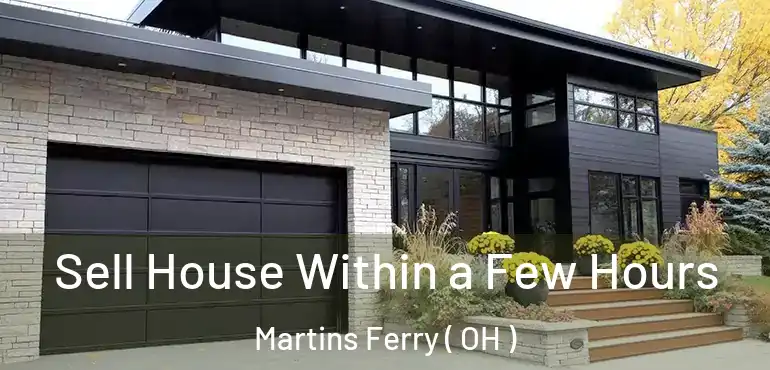  Sell House Within a Few Hours Martins Ferry ( OH )