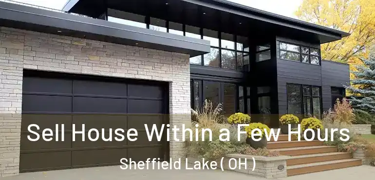  Sell House Within a Few Hours Sheffield Lake ( OH )