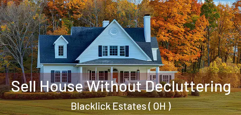  Sell House Without Decluttering Blacklick Estates ( OH )