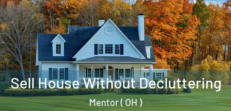  Sell House Without Decluttering Mentor ( OH )