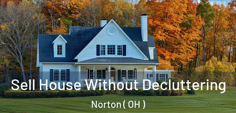  Sell House Without Decluttering Norton ( OH )