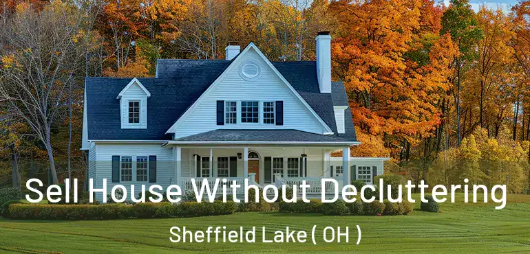  Sell House Without Decluttering Sheffield Lake ( OH )