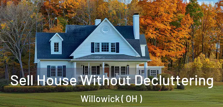  Sell House Without Decluttering Willowick ( OH )
