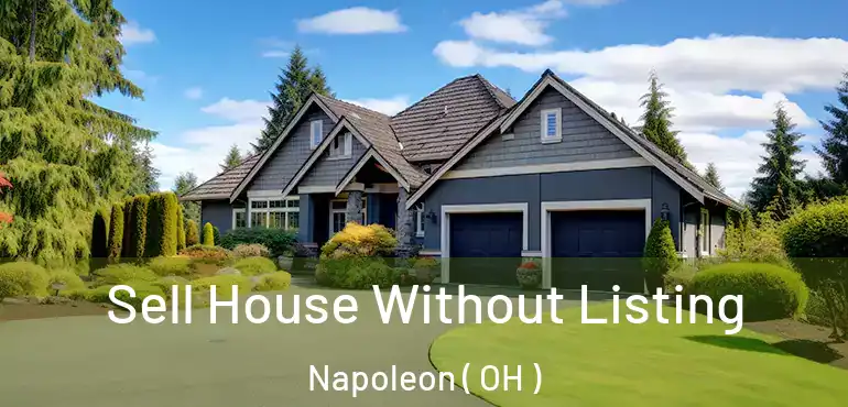  Sell House Without Listing Napoleon ( OH )