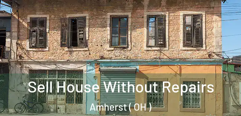  Sell House Without Repairs Amherst ( OH )