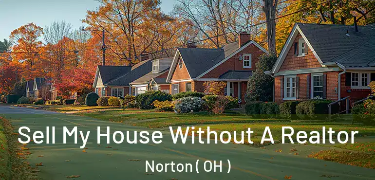  Sell My House Without A Realtor Norton ( OH )