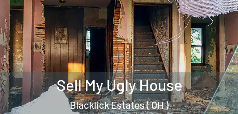  Sell My Ugly House Blacklick Estates ( OH )
