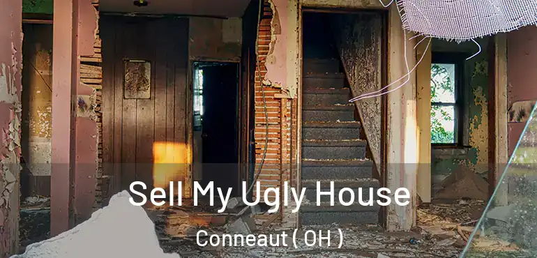  Sell My Ugly House Conneaut ( OH )