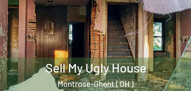  Sell My Ugly House Montrose-Ghent ( OH )