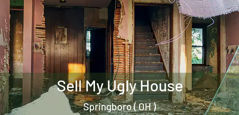  Sell My Ugly House Springboro ( OH )