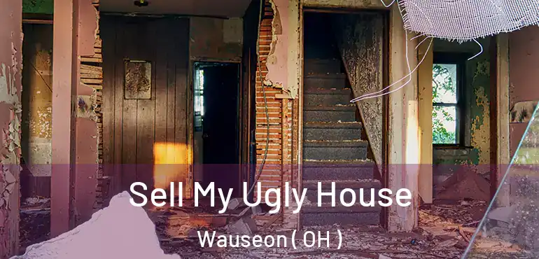  Sell My Ugly House Wauseon ( OH )