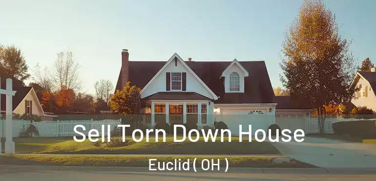 Sell Torn Down House Euclid ( OH )