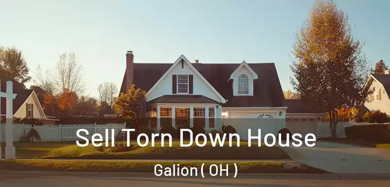  Sell Torn Down House Galion ( OH )