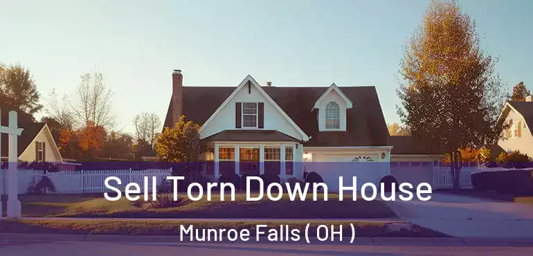  Sell Torn Down House Munroe Falls ( OH )