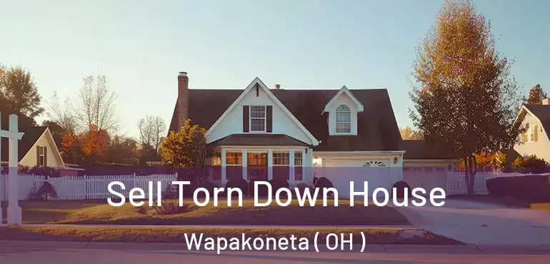  Sell Torn Down House Wapakoneta ( OH )