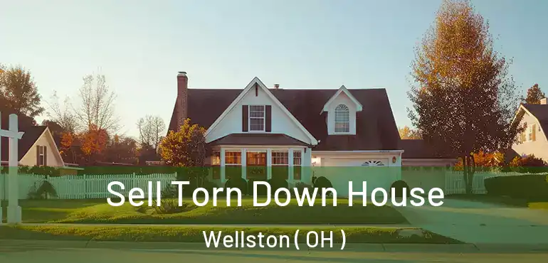 Sell Torn Down House Wellston ( OH )