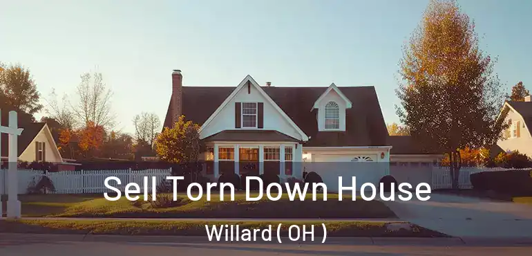  Sell Torn Down House Willard ( OH )